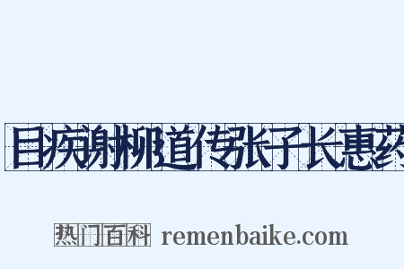 目疾谢柳道传张子长惠药是什么意思的图片